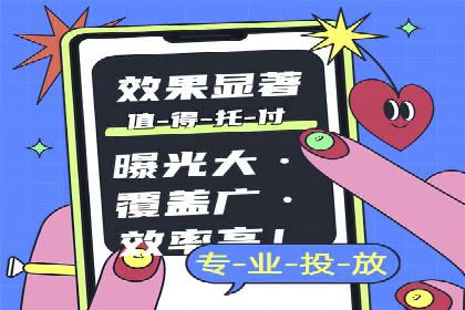 成功SEM竞价托管案例分析报告